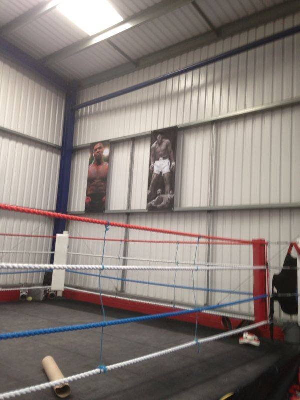 Boxing printed Banners
